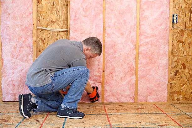 Best Specialized Insulation Services in Danville, KY